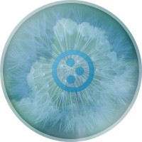 Plone and Zope provide a solid base for a powerful CMS