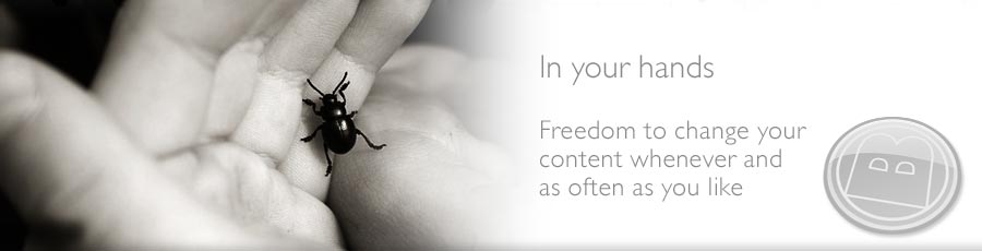 Beetlebrow provide fully CMS controlled web sites