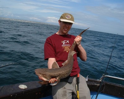 Phil Pepper enjoys a wrestling match with a bull huss